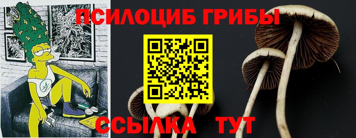 Галлюциногенные грибы Cubensis Кинель
